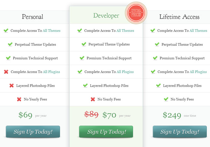 Divi theme coupon