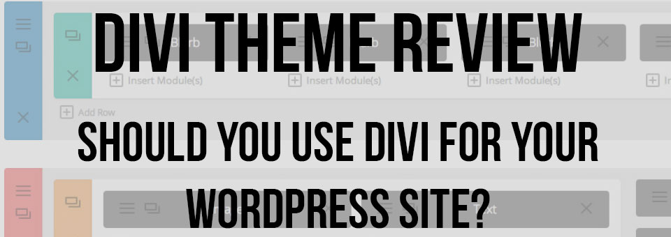 Review of Divi Theme 2015