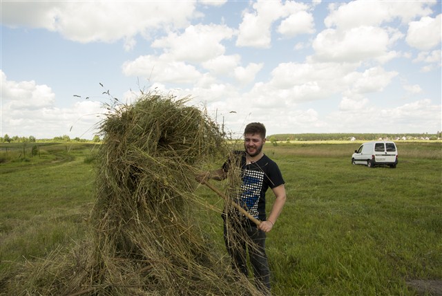 Hay field Ukraine