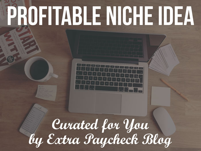 Find a profitable niche
